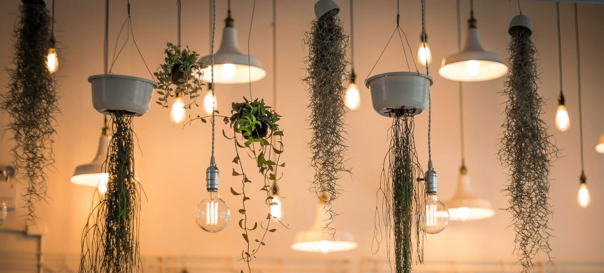 LED verlichting